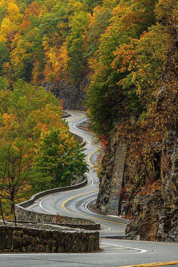 Hawk's Nest | Guatemala | Medium Roast